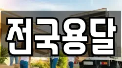 전국용달
