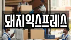 돼지익스프레스