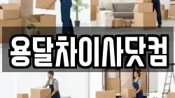 용달차이사닷컴
