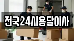 전국24시용달이사