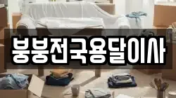 붕붕전국용달이사
