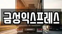 금성익스프레스
