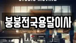 붕붕전국용달이사