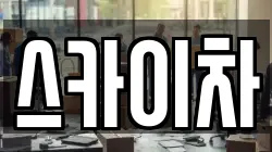 스카이차