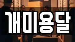 개미용달