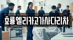 효룡엘리카고가사다리차