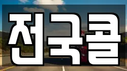 전국콜