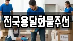 전국용달화물주선