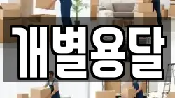 개별용달