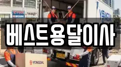 베스트용달이사
