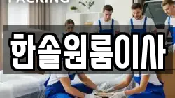 한솔원룸이사