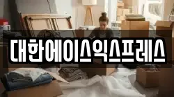 대한에이스익스프레스