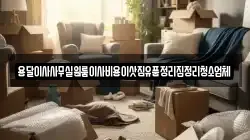 서울특별시 서대문구 대현동 이사,포장이사,반포장이사,원룸이사,사무실이사,용달이사,전국이사,보관이사
