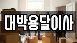 대박용달이사