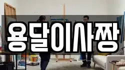용달이사짱