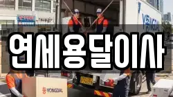 연세용달이사