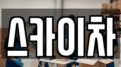 스카이차