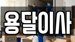 용달이사