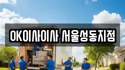 OK이사이사 서울성동지점