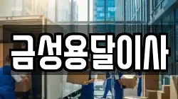 금성용달이사
