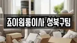 죠이원룸이사 성북구팀