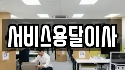 서비스용달이사