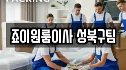 죠이원룸이사 성북구팀