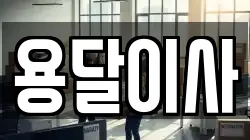 용달이사