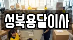 성북용달이사