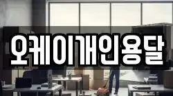오케이개인용달