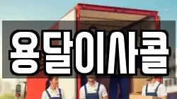 용달이사콜