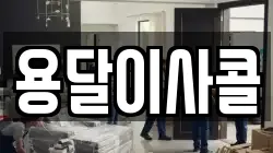 용달이사콜