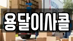 용달이사콜