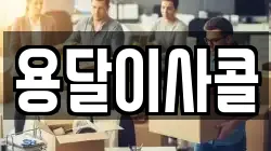 용달이사콜