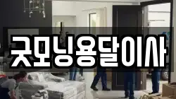 굿모닝용달이사