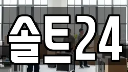 솔트24