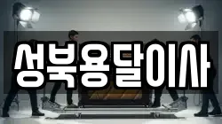 성북용달이사