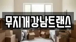 무지개강남트랜스