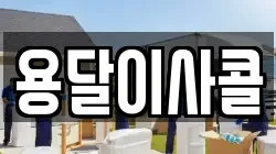 용달이사콜