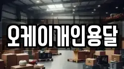 오케이개인용달