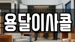 용달이사콜