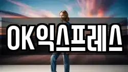 OK익스프레스