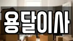 용달이사