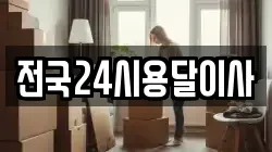 전국24시용달이사