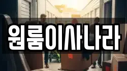원룸이사나라