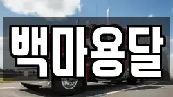 백마용달