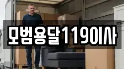 모범용달119이사