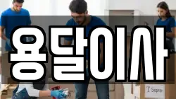 용달이사