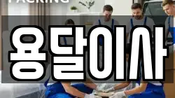 용달이사
