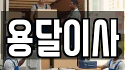 용달이사